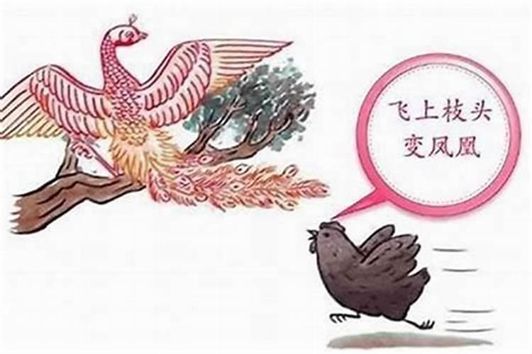 属蛇年犯太岁的四个属相