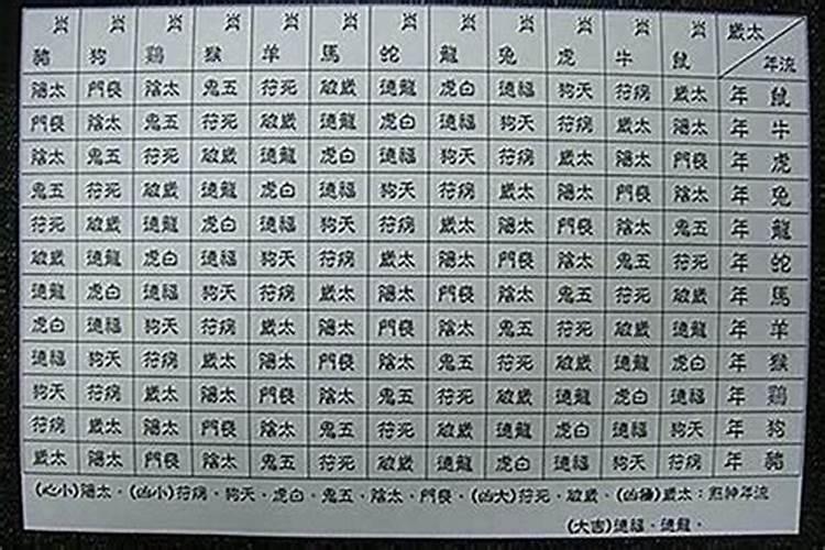 十二生肖中五行属火的生肖有哪些