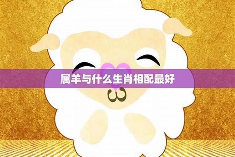 养太岁最新方法