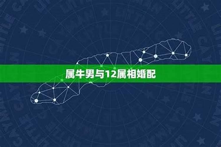 婚姻真的要看属相吗,两个人要结婚一定要看生肖吗？