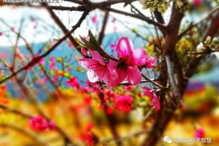 做梦跟前男友和好还怀了他的孩子 这是怎么回事