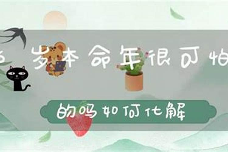 坟墓范围内长有一颗大柏树影响风水吗？