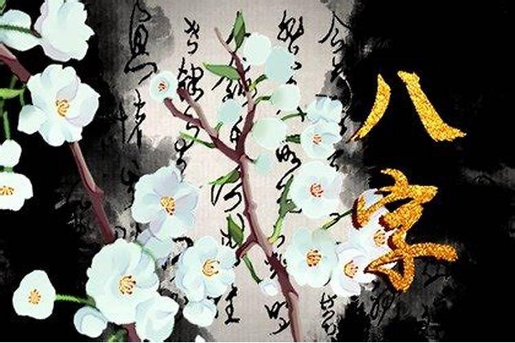你好,我想麻烦你帮我看两个八字,我和他都是两婚,我已经很害怕伤害了...