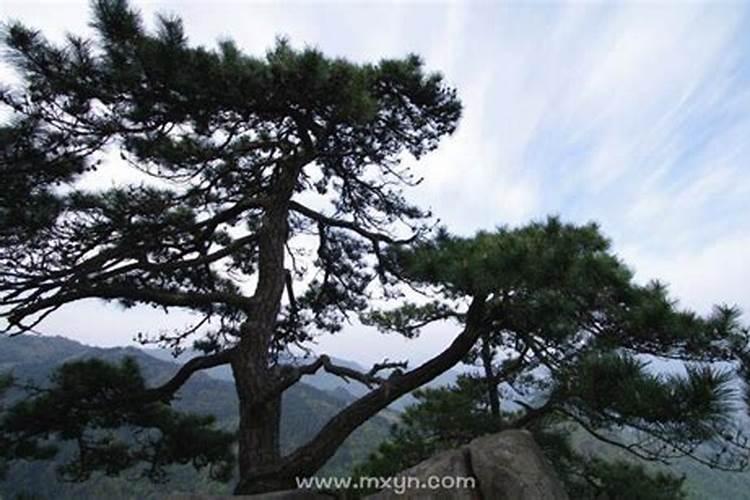 梦见孩子屙屎在裤子里,已婚女人梦见小孩拉屎是什么意思