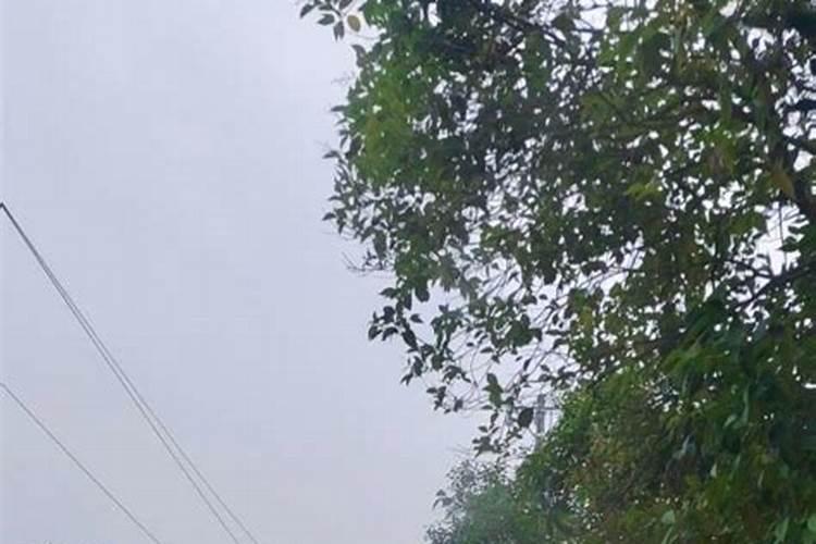 梦见舅舅和我说话的预兆