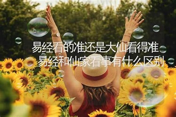 1990年属马2025年运势如何