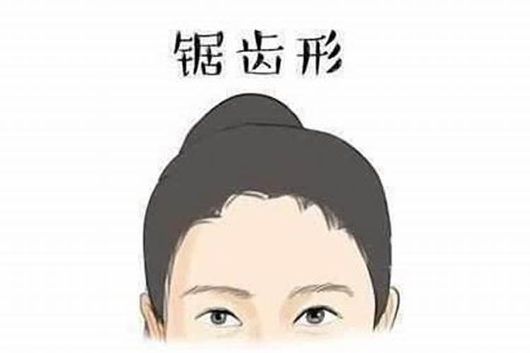 属马能和属猪的结婚吗和谁是最佳婚配