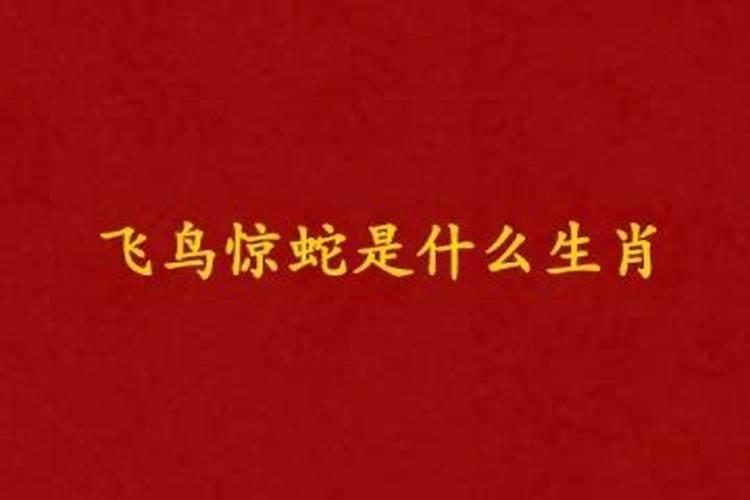 关于蛇年的成语有哪些？