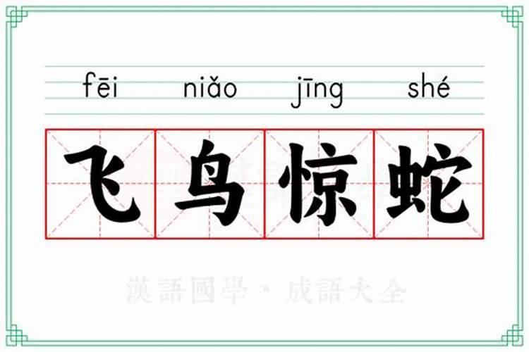 飞鸟惊蛇指什么生肖