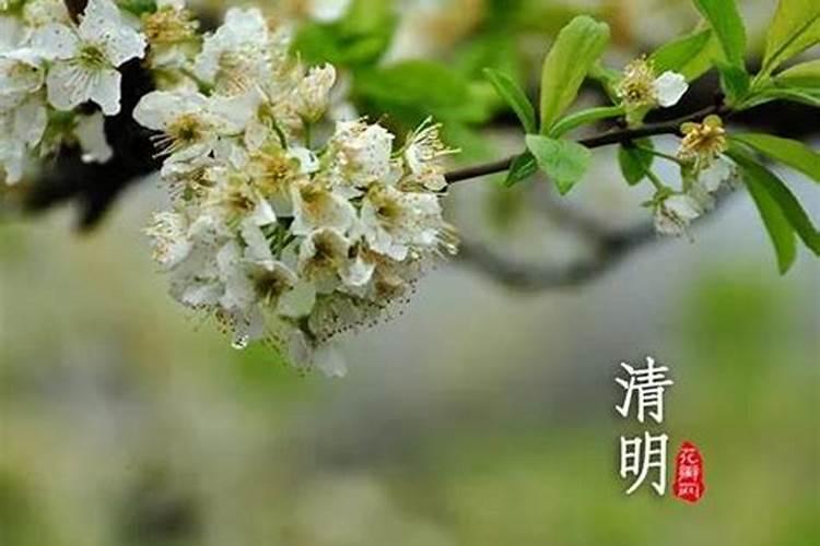 2025清明哪天上坟好一点呢