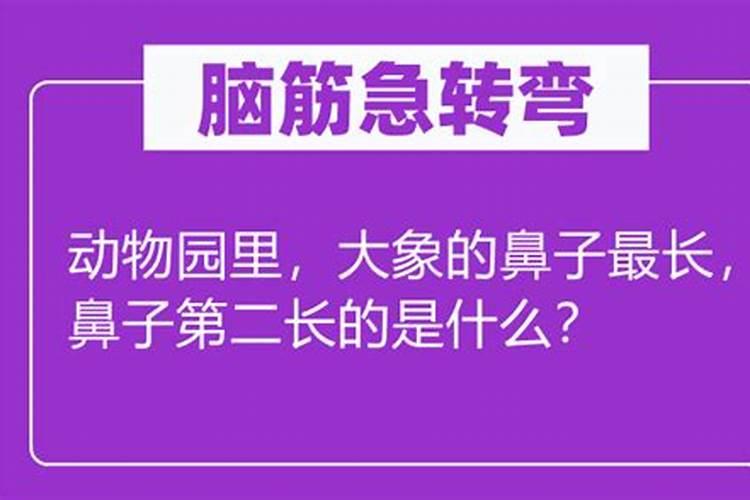 红颜薄命无天理的动物