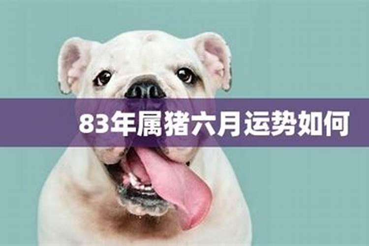 属猪6月份运势2025