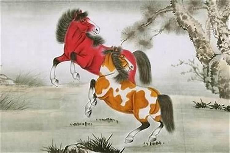 属马几月出生好