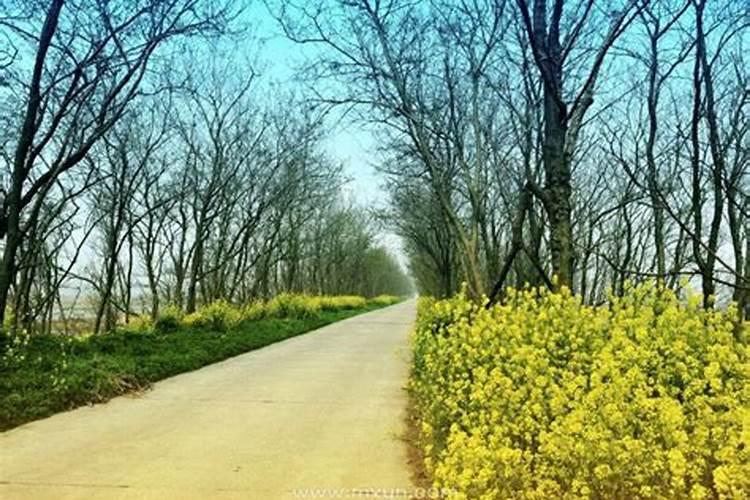 梦到回老家见到邻居了什么意思？宜守不宜进