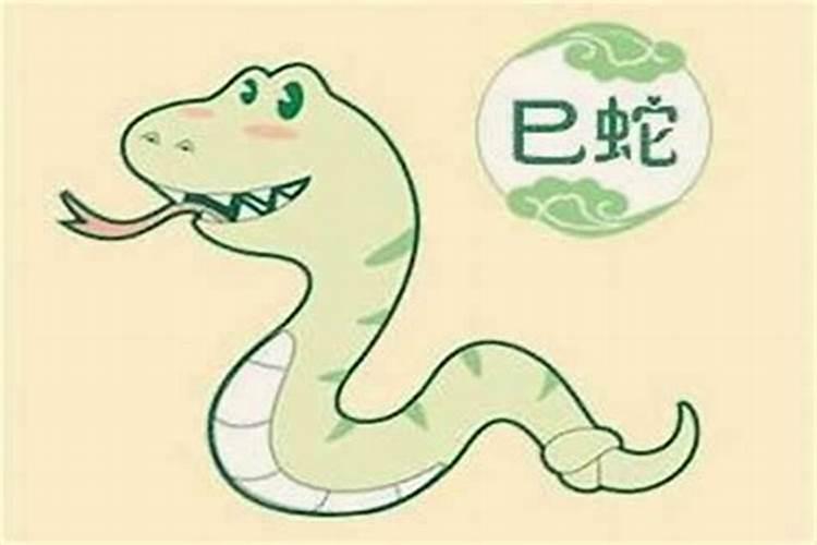 属蛇的和属狗的相配吗看了就知道