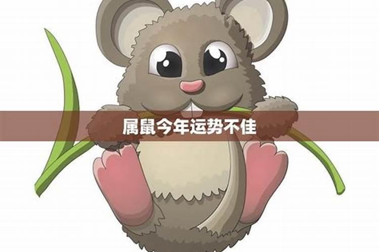 犯太岁和破太岁的区别,犯太岁什么意思如何化解