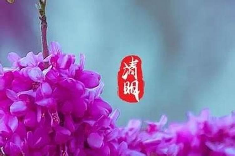 《七绝四首·公祭毛公感吟》