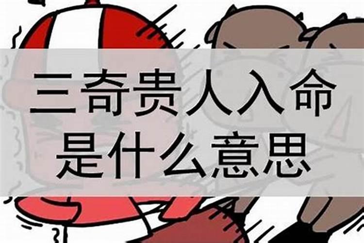 算命三甲命是什么意思