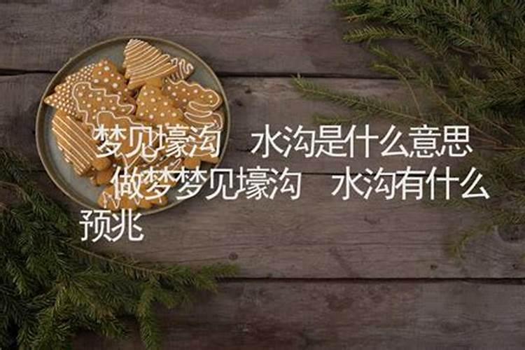 梦见龙在水中是什么意思？