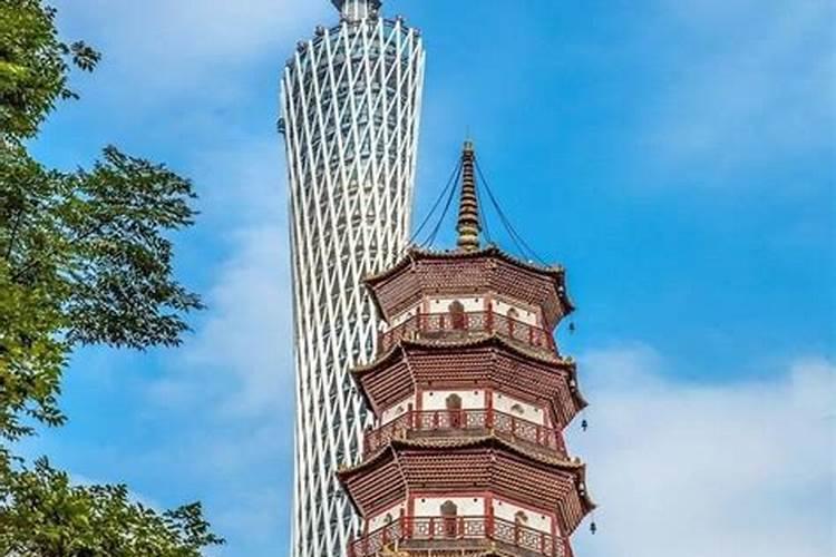 属虎犯太岁的年份