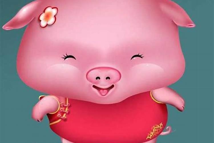 71年男人属猪一生命运,71年属猪51到52岁好运气