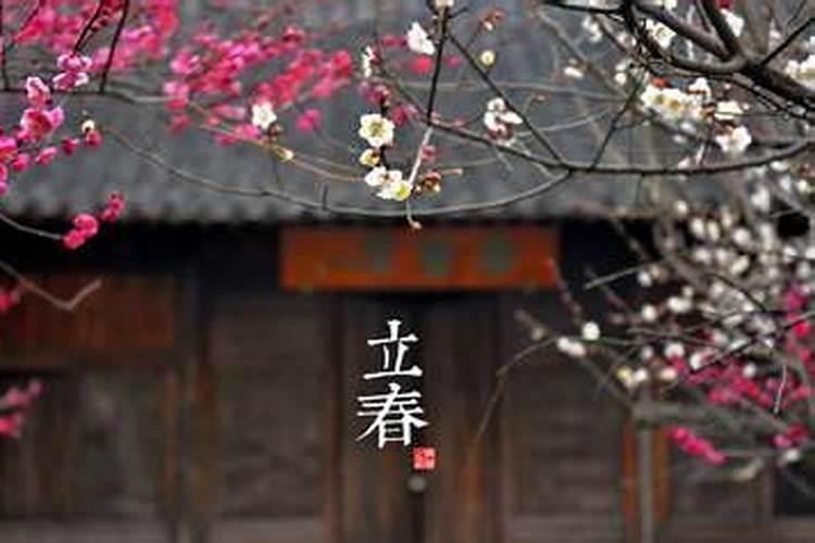 二月二,龙抬头适合做什么