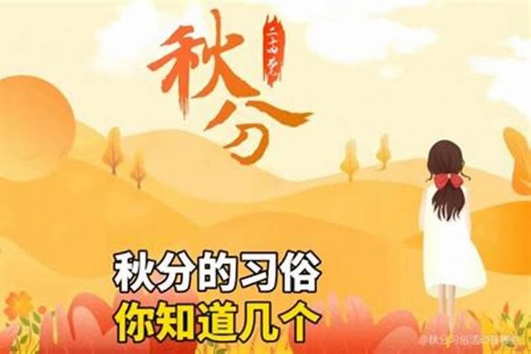秋分有什么风俗