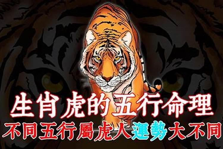 83年属猪的水命和86年属虎的火命,是六合呢？还是水火不容呢？