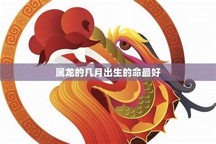 今天是几九第几天