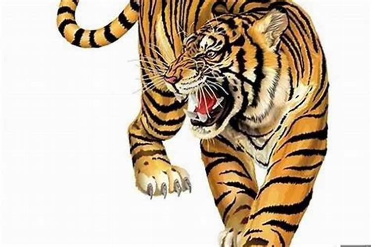 属虎一九八六年农历十二月初二生的一生的命运怎么算