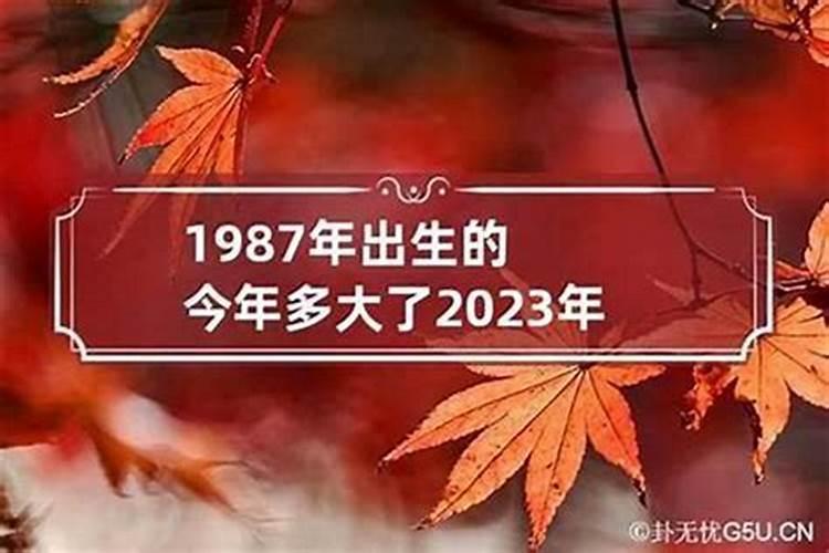 1951年属兔人2024年运势及运程详解