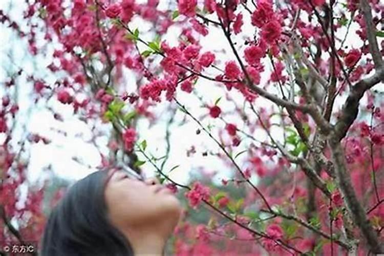 已婚女人有桃花劫怎么办 女人犯桃花劫的后果