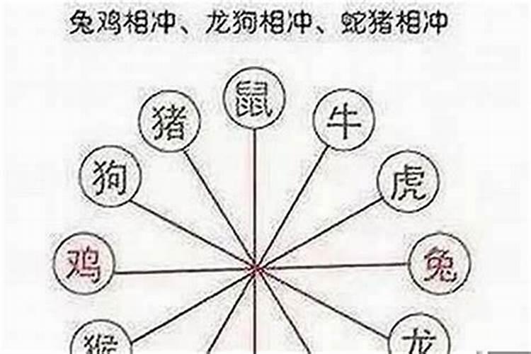 属鸡的和什么属相最好婚配