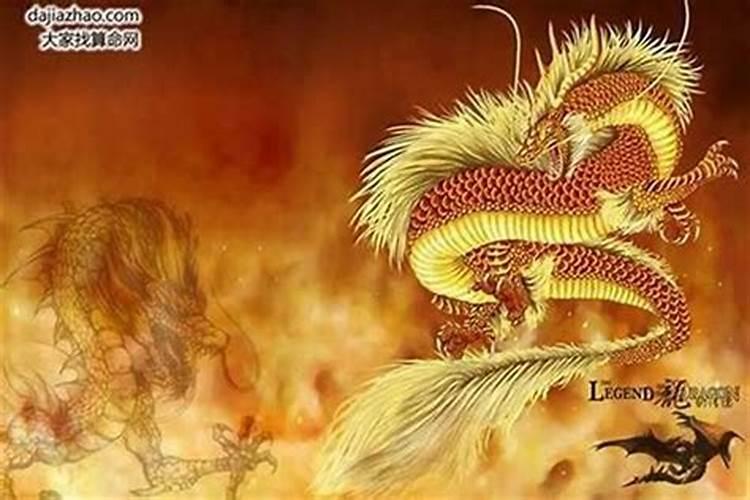天合之作在十二生肖里面指的是谁
