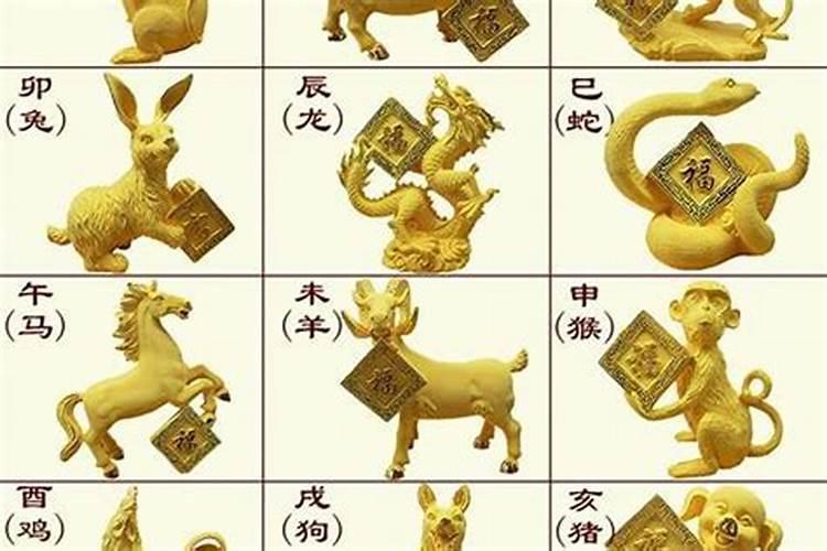 生肖鼠1996年2025年运势如何生肖鼠1996年2025年全年运势