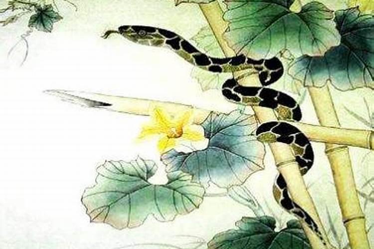 本命年的虎今年运势如何 财运平稳事业运平凡？