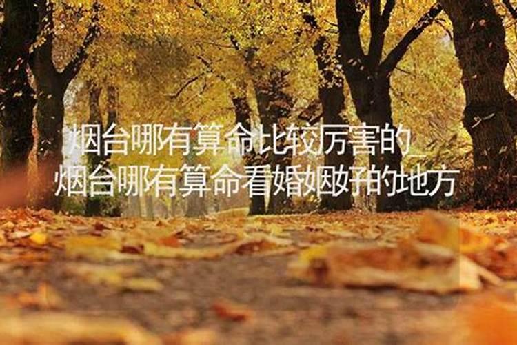 石家庄藁城区婚姻登记处电话