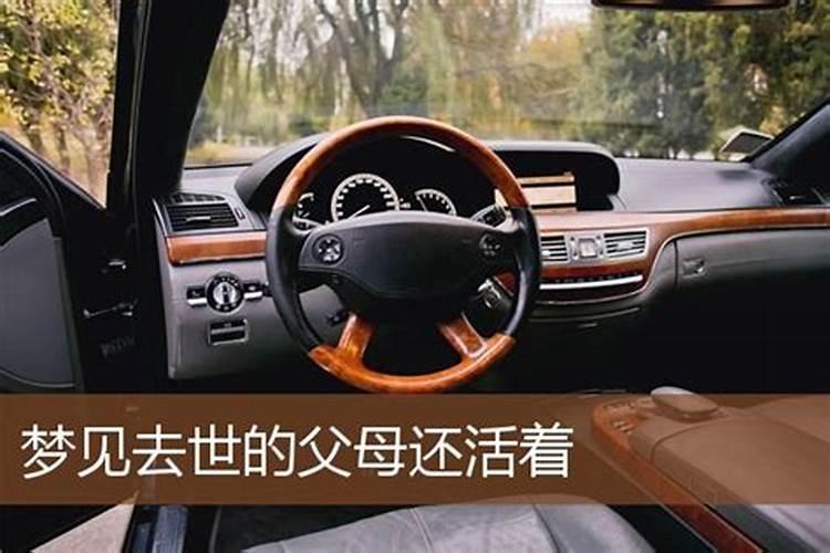 梦见死去的丈夫还活着和我说话