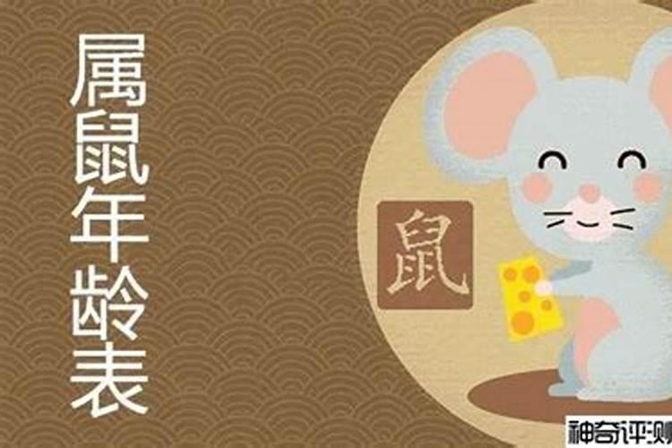 属狗人2025年全年运势运程免费 属狗2025年每月运势及运程详解