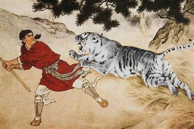 命中犯白虎是什么说法？