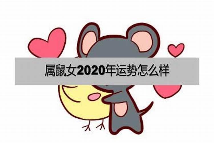 1972年属鼠人桃花运势,1971年的猪女未来五年的运程