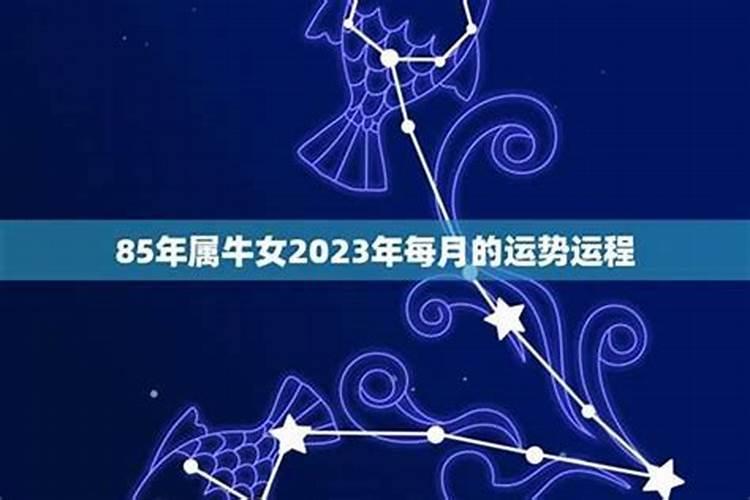 85年的牛终身运势,1985年生人一生运程