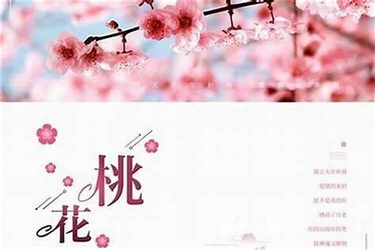 注定有缘分的两个人,八字走桃花运？
