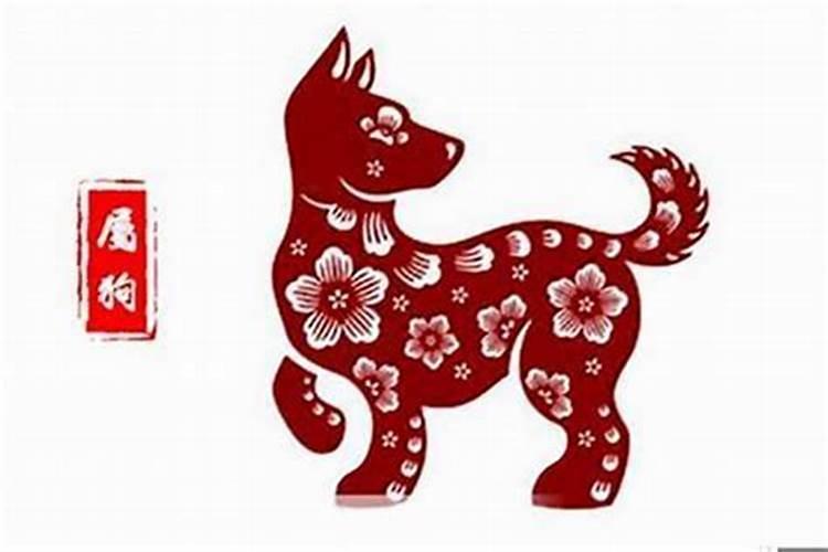 生肖狗何时走好运