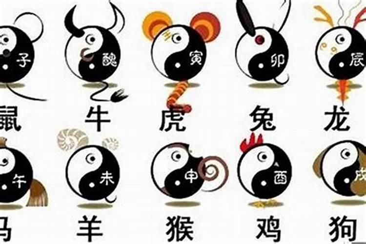 78年的马是什么命