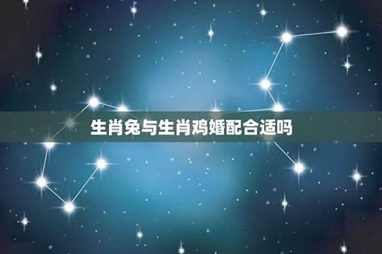 属鸡和属兔的适合做夫妻吗 兔和鸡相配婚姻如何