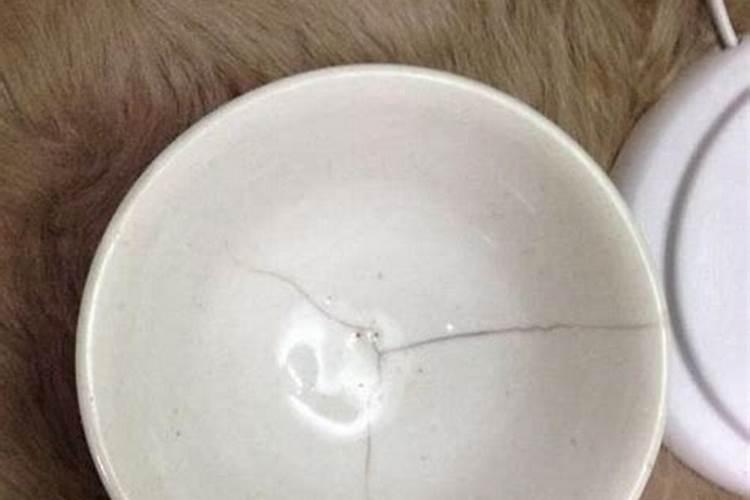 属狗和属牛的婚配好不好属狗和属牛的合适吗