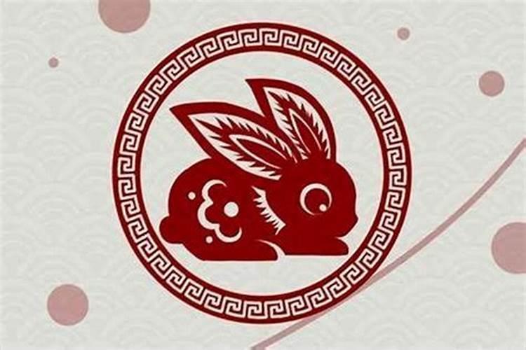 属兔的几月出生最好