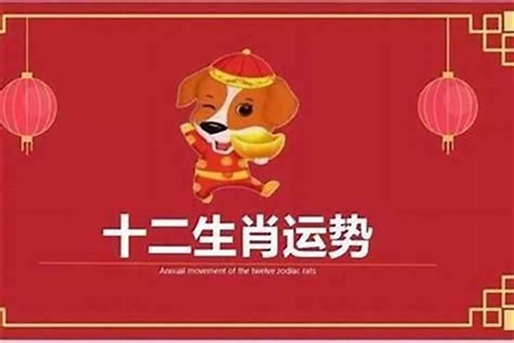 1982年女狗的2025命运