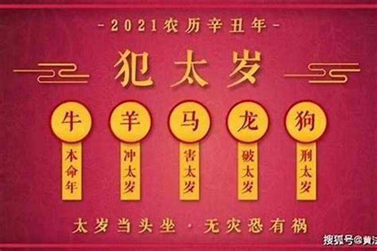 95年属猪什么星座,1995属猪的命运与婚姻
